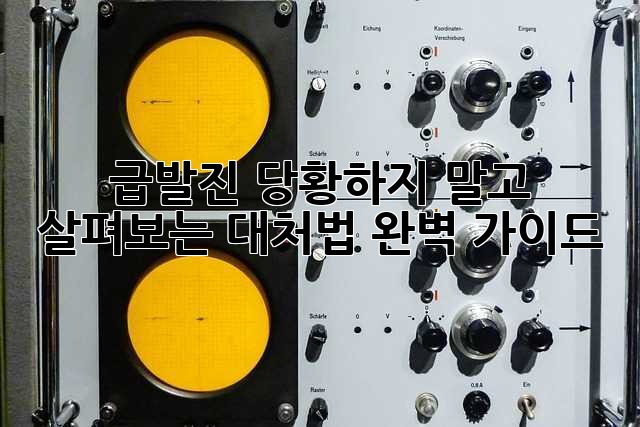 급발진! 당황하지 말고 살펴보는 대처법 완벽 가이드