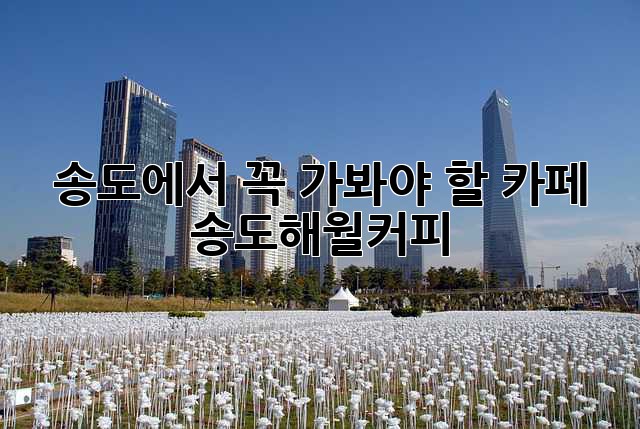 송도에서 꼭 가봐야 할 카페, 송도해월커피☕️