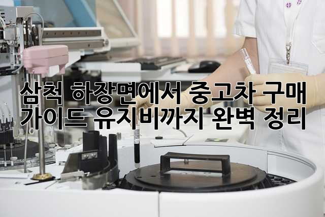 삼척 하장면에서 중고차 구매 가이드: 유지비까지 완벽 정리!