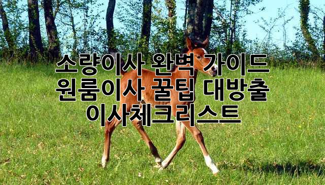 소량이사 완벽 가이드 🏡 원룸이사 꿀팁 대방출! #이사체크리스트