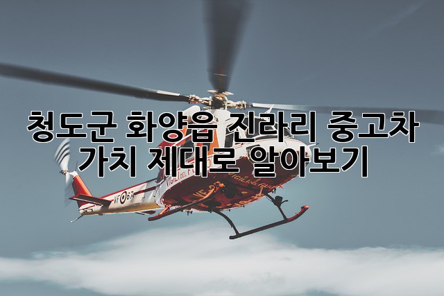 청도군 화양읍 진라리 중고차 가치 제대로 알아보기