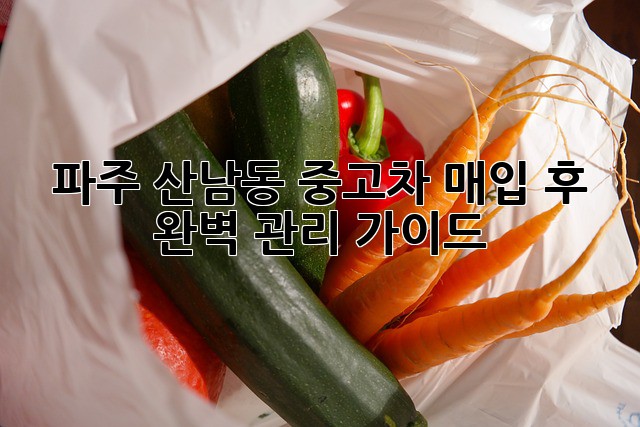 파주 산남동 중고차 매입 후 완벽 관리 가이드