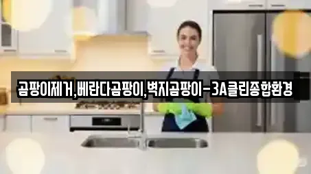 곰팡이제거,베란다곰팡이,벽지곰팡이-3A클린종합환경