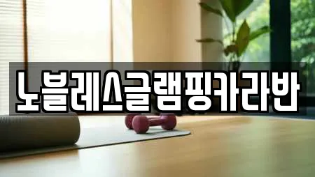 노블레스글램핑카라반