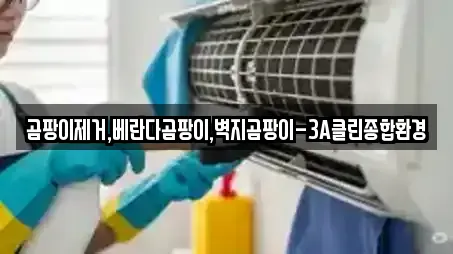 곰팡이제거,베란다곰팡이,벽지곰팡이-3A클린종합환경