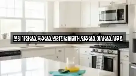 쓰레기집청소.특수청소.반려견냄새제거.입주청소.이사청소.사무소