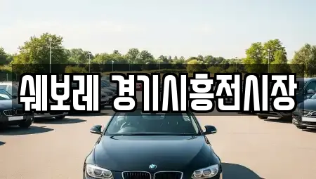 쉐보레 경기시흥전시장