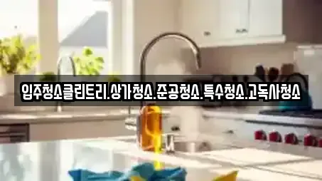입주청소클린트리.상가청소.준공청소.특수청소.고독사청소