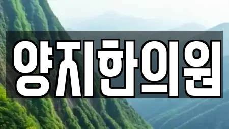 양지한의원