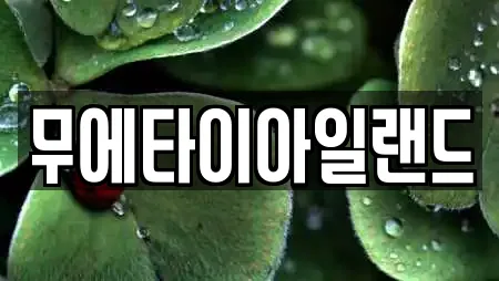 무에타이아일랜드