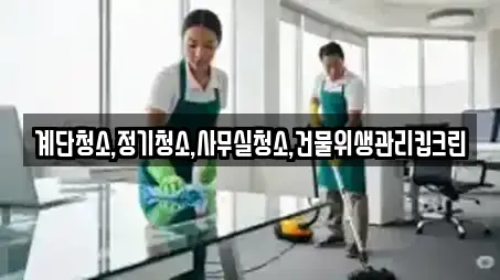 사무실청소 업체 보러가기 경기 지행동 8건 사무실청소 업체 보러가기 경기 지행동 8건