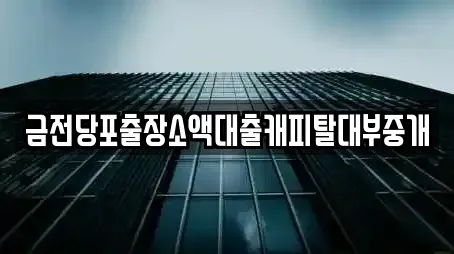 금전당포출장소액대출캐피탈대부중개
