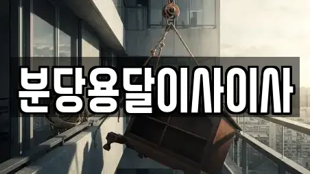 분당용달이사이사