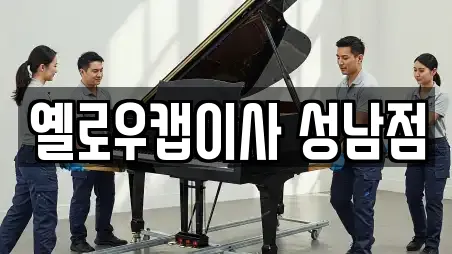 옐로우캡이사 성남점