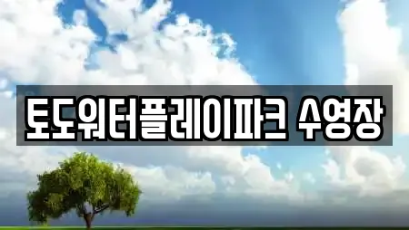 토도워터플레이파크 수영장