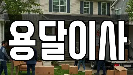 용달이사