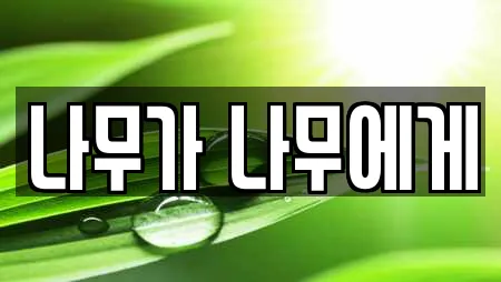 나무가 나무에게