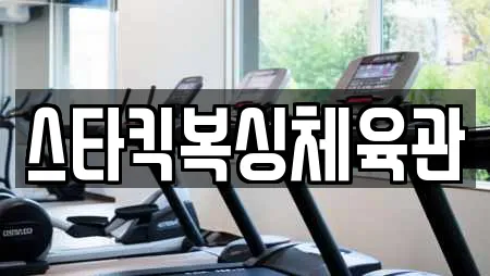 스타킥복싱체육관