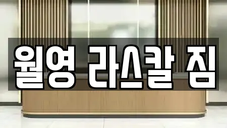 월영 라스칼 짐
