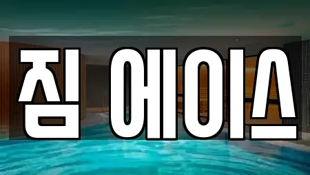 짐 에이스