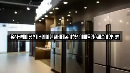 웅진코웨이정수기코웨이렌탈비데공기청정기매트리스제습기인덕션