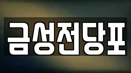 금성전당포