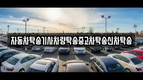 자동차탁송기사차량탁송중고차탁송신차탁송