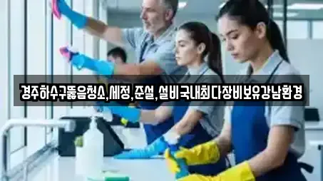경주시 배반동 청소업체 상담 6 경주시 배반동 청소업체 상담 6