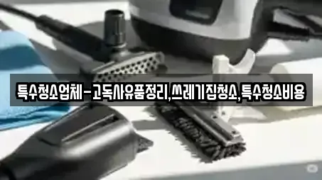 특수청소업체-고독사유품정리,쓰레기집청소,특수청소비용