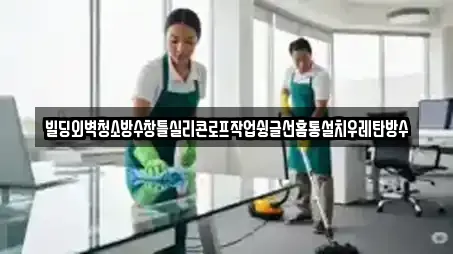 빌딩외벽청소방수창틀실리콘로프작업슁글선홈통설치우레탄방수