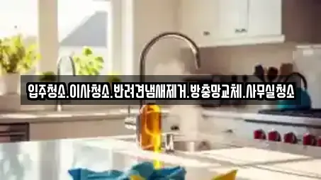 입주청소.이사청소.반려견냄새제거.방충망교체.사무실청소