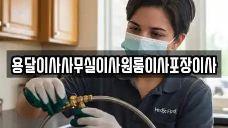 용달이사사무실이사원룸이사포장이사