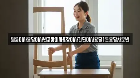 원룸이사용달이사반포장이사포장이사간단이사용달1톤용달차운반