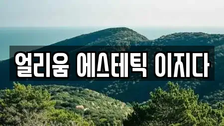 얼리움 에스테틱 이지다