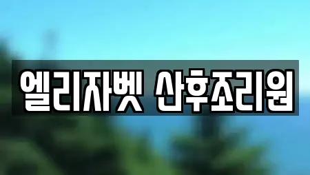 엘리자벳 산후조리원