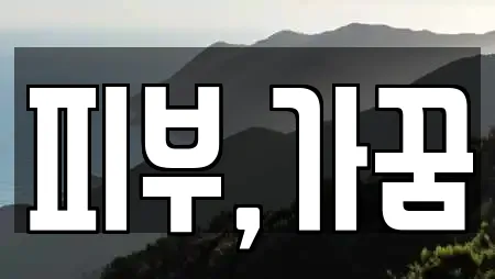 피부,가꿈