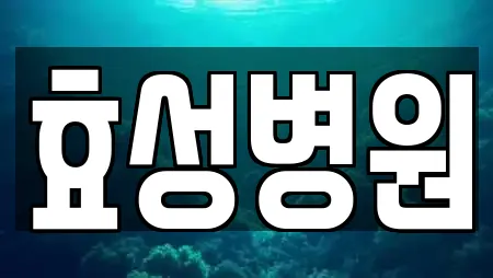 효성병원