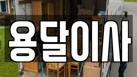 용달이사