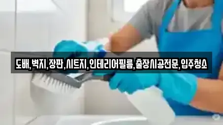 동구 효평동 추천 입주청소,사무실청소,상가청소,청소업체,청소 업체 9곳 동구 효평동 추천 입주청소,사무실청소,상가청소,청소업체,청소 업체 9곳