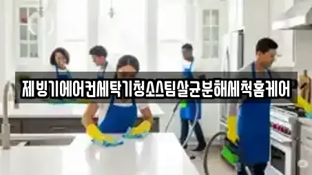 제빙기에어컨세탁기청소스팀살균분해세척홈케어