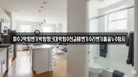 하수구막힘변기막힘씽크대막힘수전교체변기수리변기뚫음누수탐지