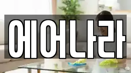 에어나라