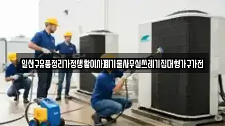 일산구유품정리가정생활이사폐기물사무실쓰레기집대형가구가전
