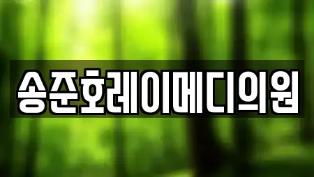 송준호레이메디의원