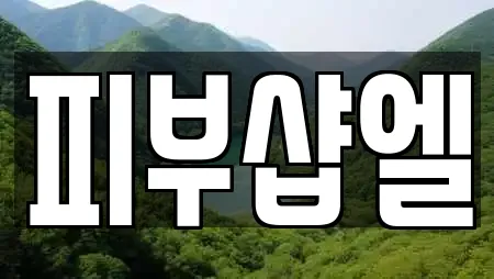 피부샵엘