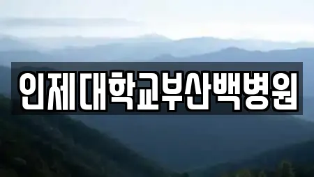 인제대학교부산백병원