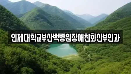 인제대학교부산백병원장애친화산부인과