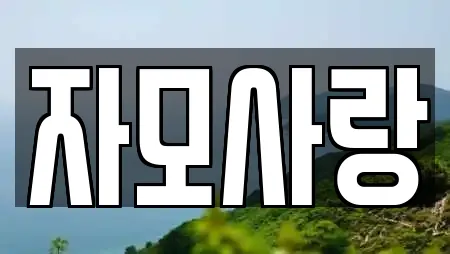 자모사랑