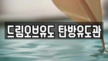드림오브유도 탄방유도관