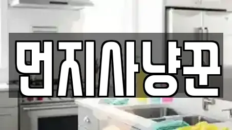 먼지사냥꾼